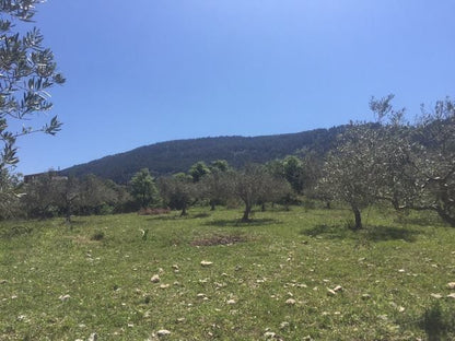 TERRENO PIZZUTO – SANTO STEFANO QUISQUINA (AG)