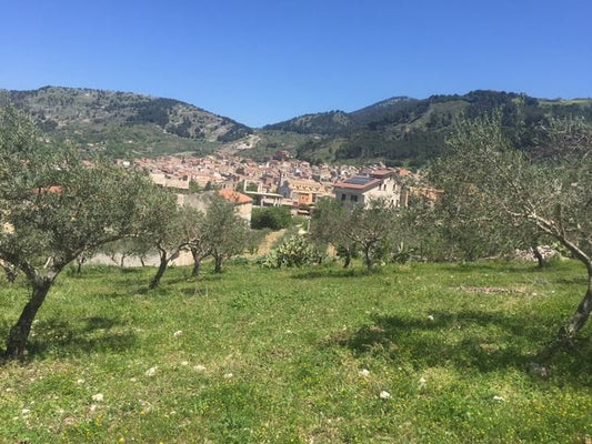 TERRENO PIZZUTO – SANTO STEFANO QUISQUINA (AG)