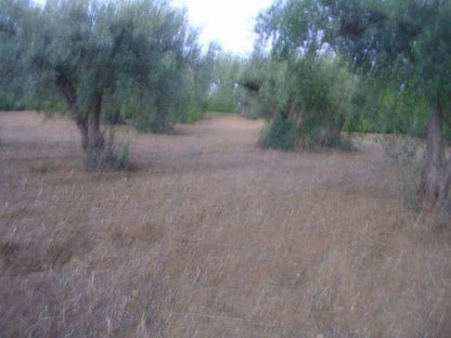 TERRENO RAMETTA CDA BUTERA