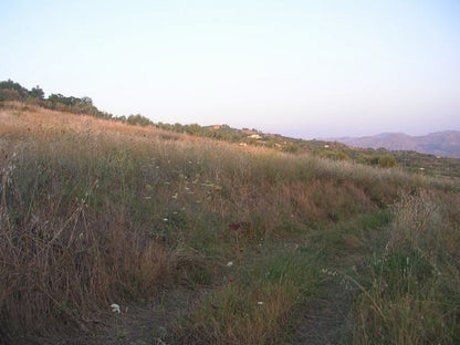 TERRENO MARTORANA FERRARO CDA VITELLACCI