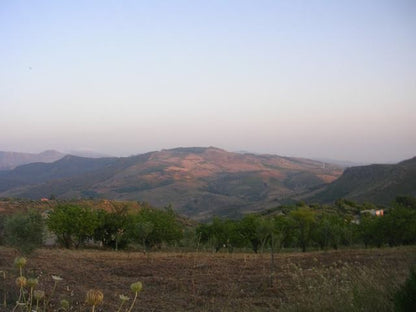 TERRENO MARTORANA FERRARO CDA VITELLACCI