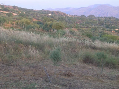 TERRENO MARTORANA FERRARO CDA VITELLACCI