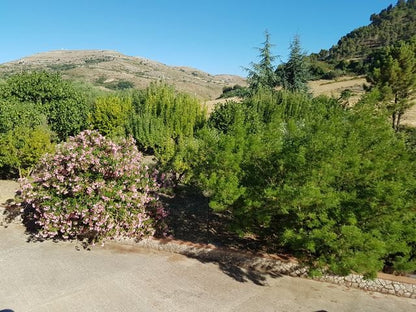 VILLA E TERRENO CAMIZZI - PRIZZI (PA)