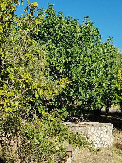VILLA E TERRENO CAMIZZI - PRIZZI (PA)