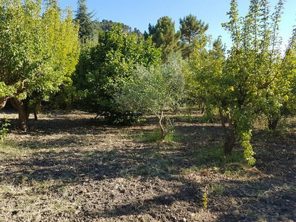 VILLA E TERRENO CAMIZZI - PRIZZI (PA)