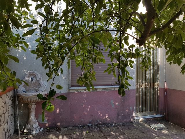 VILLA E TERRENO CAMIZZI - PRIZZI (PA)