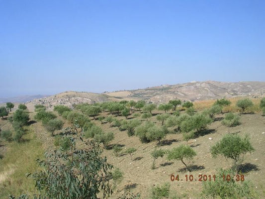 HOUSE AND LAND BASILE – CDA SAVARINI