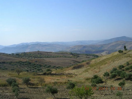 HOUSE AND LAND CICCARELLO – CDA SAVARINI