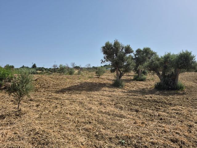 RURAL BUILDING WITH LAND – CONTRADA CASTELLACCIO