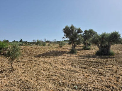 RURAL BUILDING WITH LAND – CONTRADA CASTELLACCIO