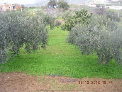 PANORAMIC HOUSE AND LAND CONTRADA FAMIDRU