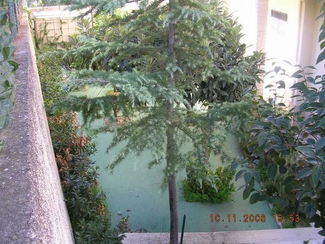 APPARTAMENTI GIORDANO – CORSO CINQUEMANI
