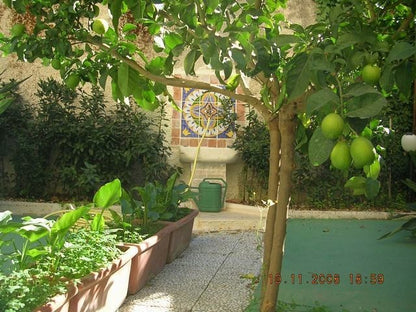 APPARTAMENTI GIORDANO – CORSO CINQUEMANI