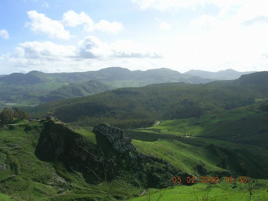 TERRENO REGINALD CALEDONIA