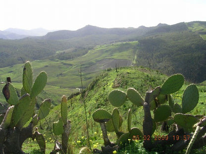 LAND REGINALD CALEDONIA - PROPERTY IN SICILY
