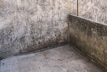 APT ALFANO VIA ROMA E SALITA CONVENTO