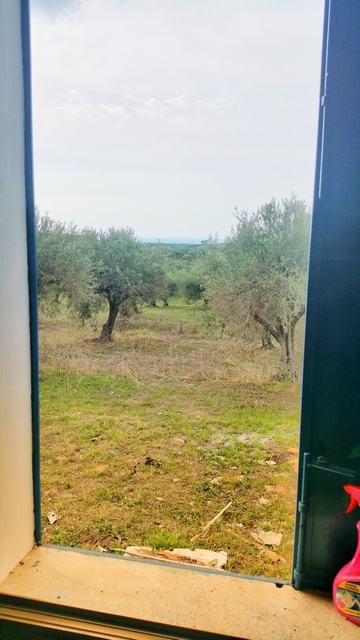 VILLA E TERRENO NAPOLI – RIBERA (AG)