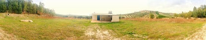VILLA E TERRENO NAPOLI – RIBERA (AG)