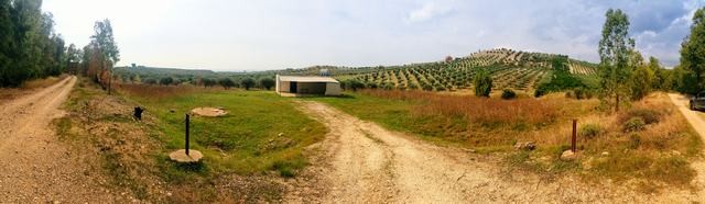 VILLA E TERRENO NAPOLI – RIBERA (AG)