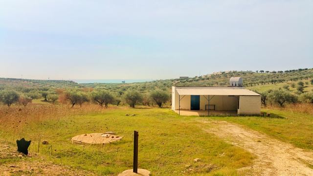 VILLA E TERRENO NAPOLI – RIBERA (AG)