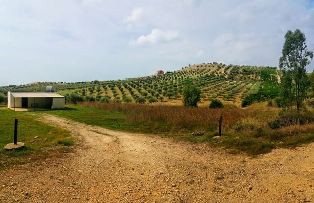 VILLA E TERRENO NAPOLI – RIBERA (AG)