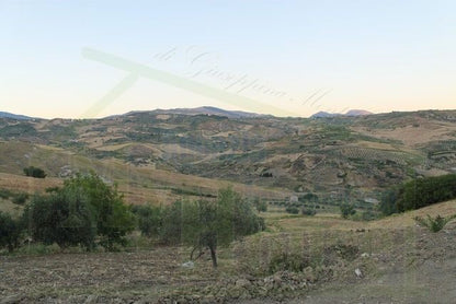 HOUSE AND LAND PULLARA – CDA PETRARO