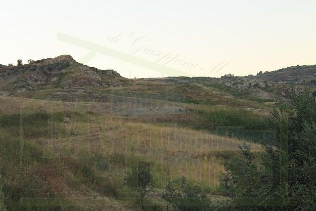 HOUSE AND LAND PULLARA – CDA PETRARO