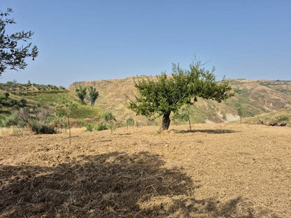 RURAL BUILDING WITH LAND – CONTRADA CASTELLACCIO