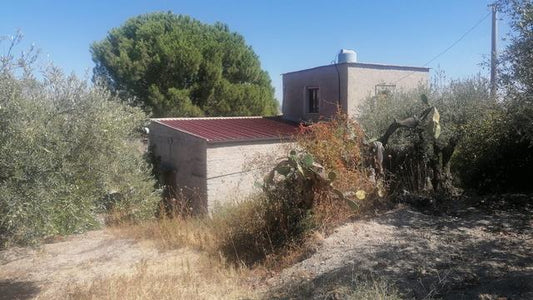 CASA E TERRENO TANINA – CDA CHINESI,  ALESSANDRIA