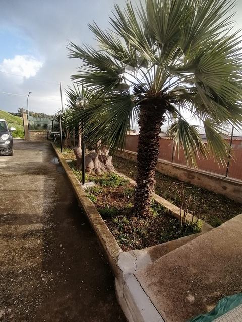 SEASIDE APT ABBRUZZO D'AMICO – SAN GIORGIO (AG)