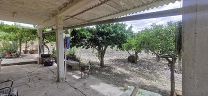 LAND TRIOLO – ALESSANDRIA DELLA ROCCA (AG)