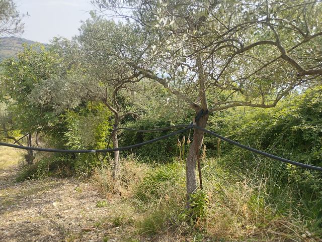 LAND AND WAREHOUSE BELLONE (BIVONA)