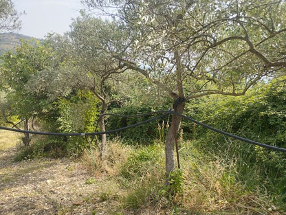 LAND AND WAREHOUSE BELLONE (BIVONA)