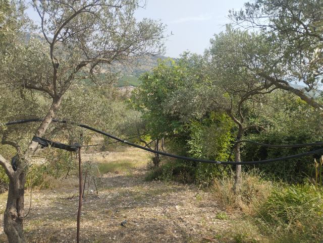 LAND AND WAREHOUSE BELLONE (BIVONA)