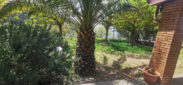 VILLA E TERRENO FARULLA – SANTO STEFANO QUISQUINA (AG)