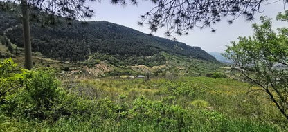 VILLA E TERRENO FARULLA – SANTO STEFANO QUISQUINA (AG)