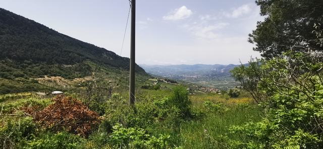 VILLA E TERRENO FARULLA – SANTO STEFANO QUISQUINA (AG)