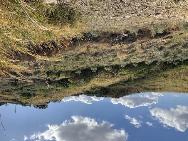 VILLA PANORAMICA THOMAS CDA PETRARO