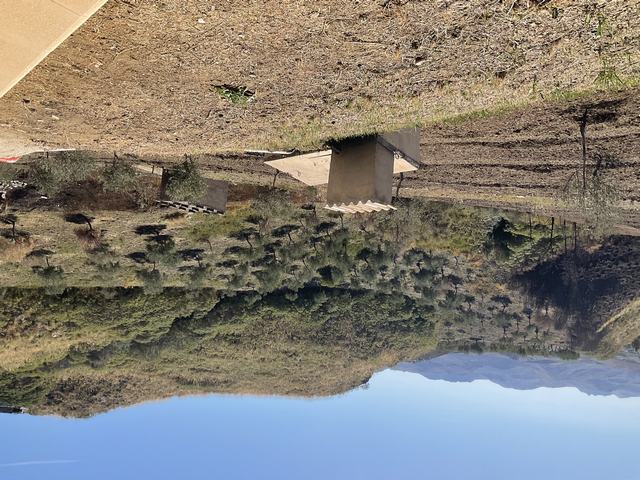 VILLA PANORAMICA THOMAS CDA PETRARO