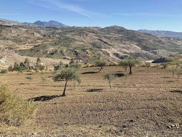 VILLA PANORAMICA THOMAS CDA PETRARO