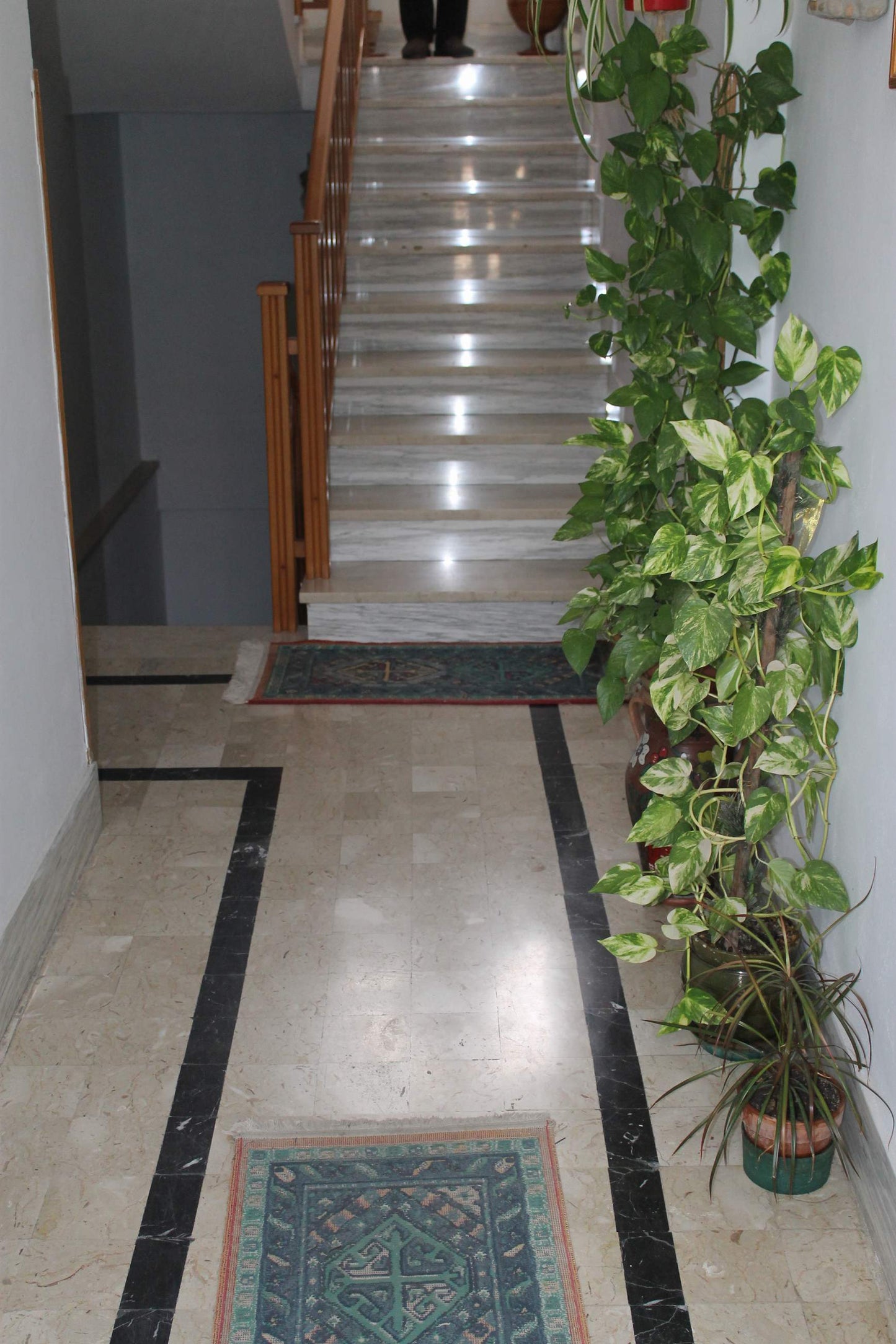 APT CARUBIA PENDINO - VIA ALFIERI