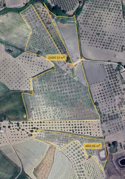  LAND TRIOLO – ALESSANDRIA DELLA ROCCA (AG)