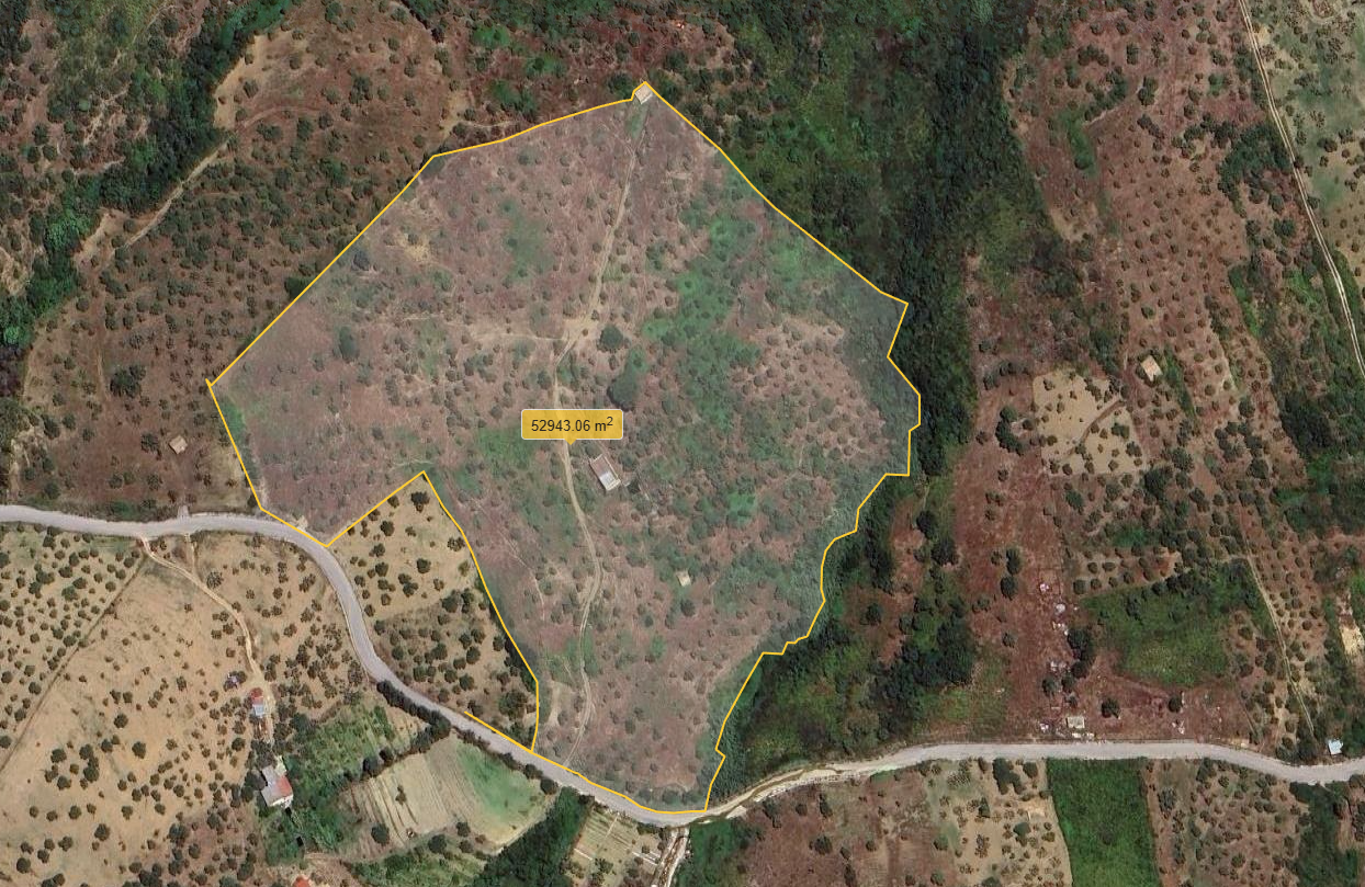 TERRENO CALCEDONIA – CERDA (PA)