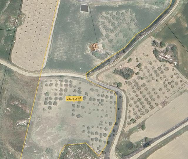 LAND PATRINOSTRO CDA FERRARIA