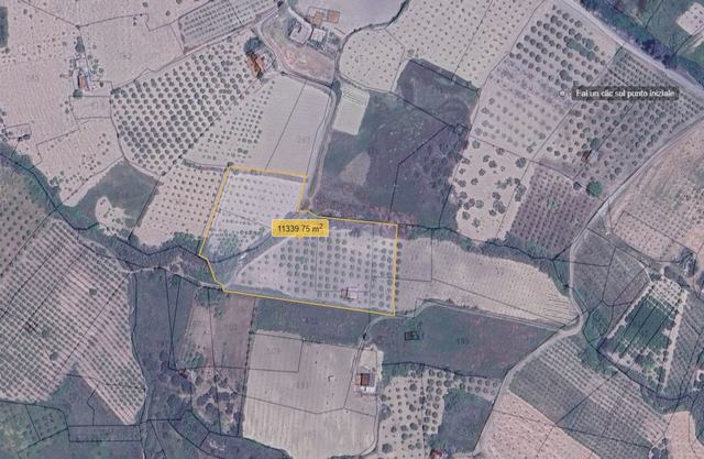 TERRENO  FRISCO – CDA TINNIRO, ALESSANDRIA