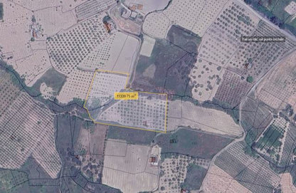 TERRENO  FRISCO – CDA TINNIRO, ALESSANDRIA