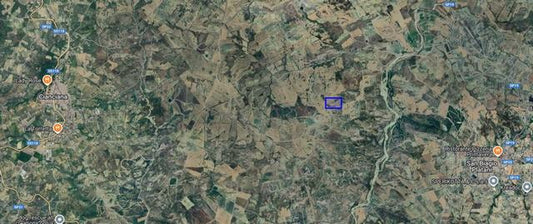 TERRENO SALVO CDA  ASSOLICCHIALORA -  ALESSANDRIA DELLA ROCCA