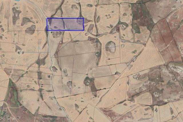 TERRENO SALVO CDA  ASSOLICCHIALORA -  ALESSANDRIA DELLA ROCCA