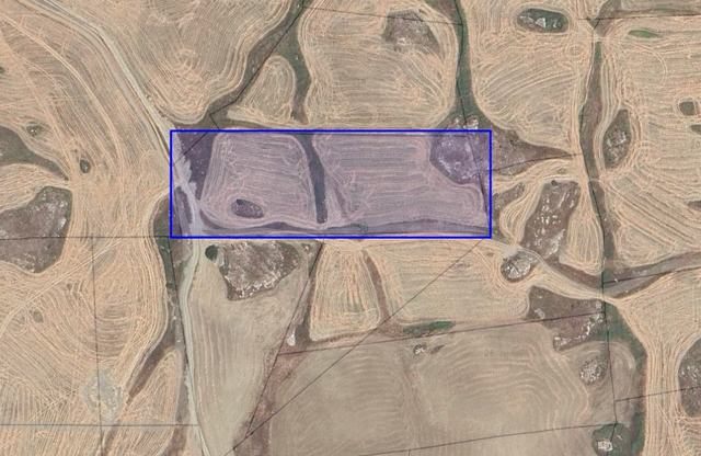 TERRENO SALVO CDA  ASSOLICCHIALORA -  ALESSANDRIA DELLA ROCCA