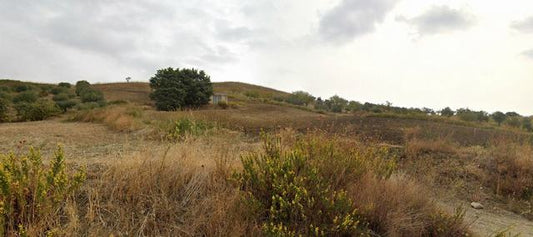 TERRENO CON 2 MAGAZZINI – CDA LURDICHELLA, ALESSANDRIA